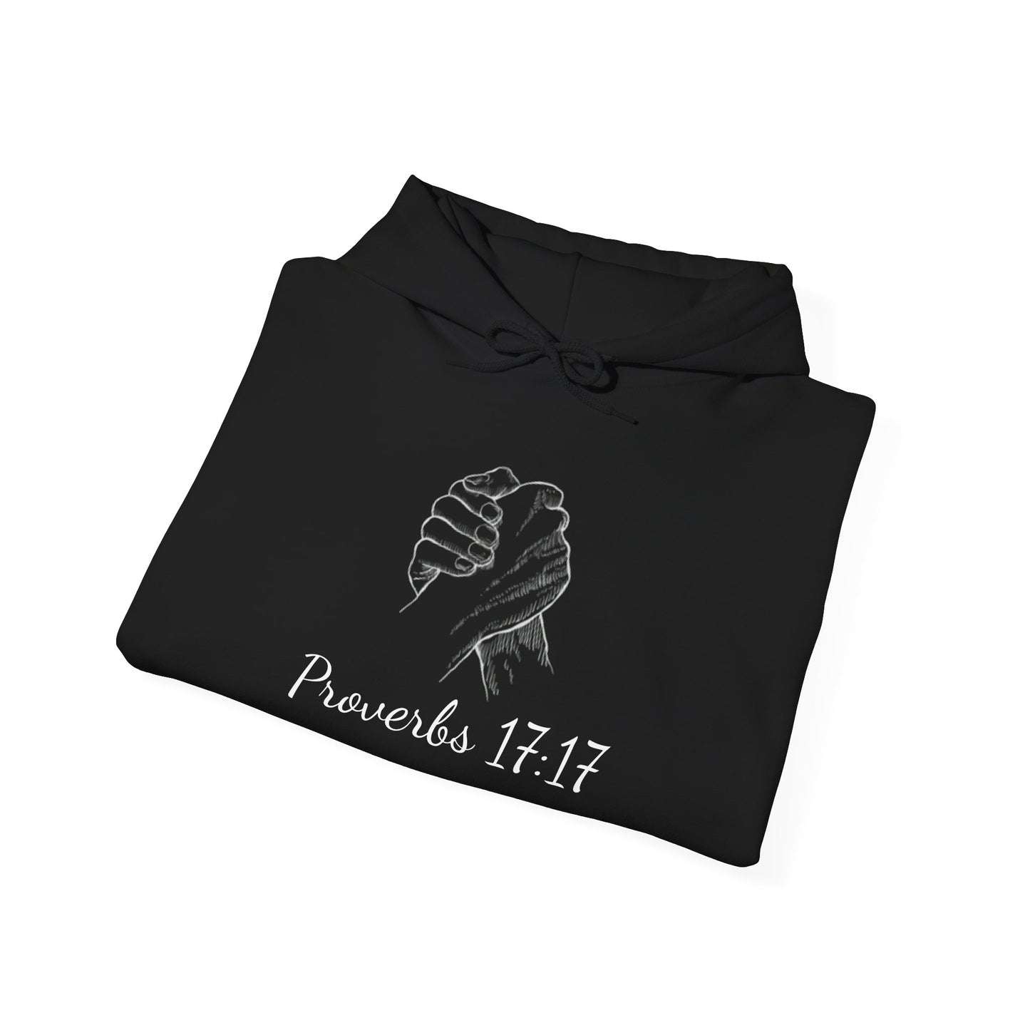 Friend loves at all times - Proverbs 17:17 Hoodie - premium quality