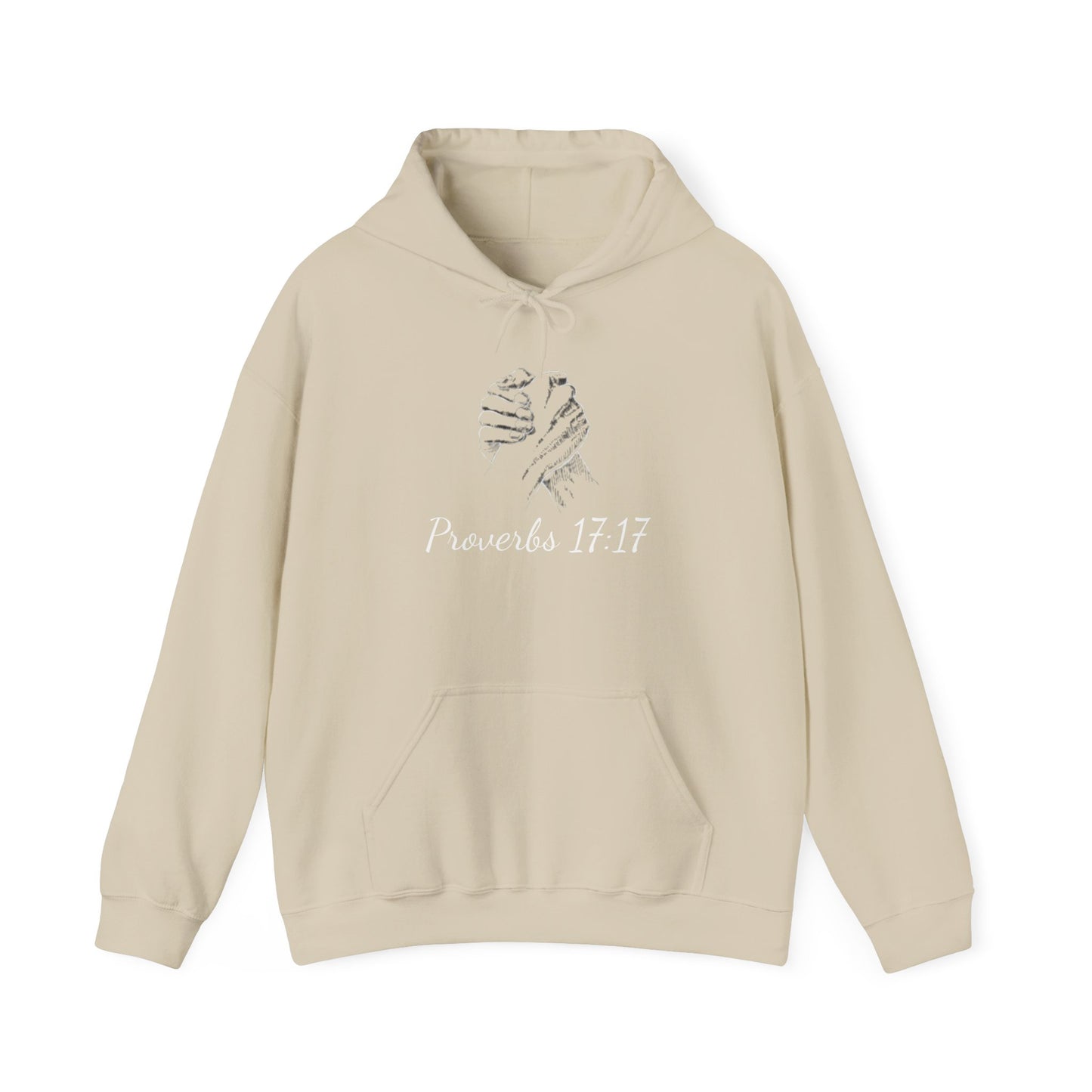 Friend loves at all times - Proverbs 17:17 Hoodie - premium quality