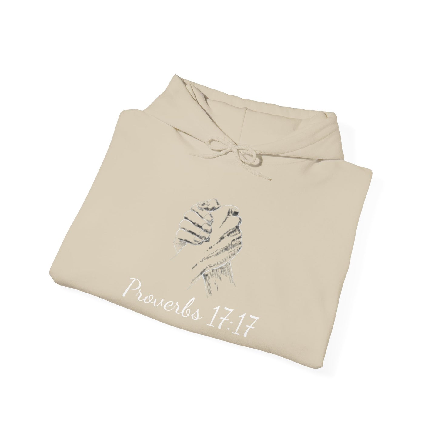 Friend loves at all times - Proverbs 17:17 Hoodie - premium quality