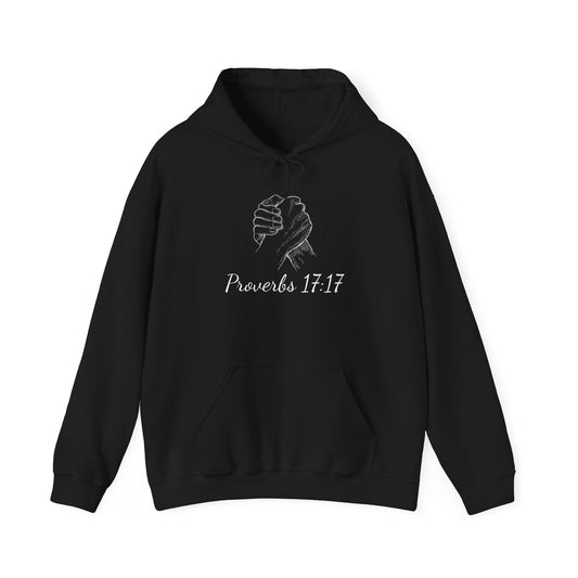 Friend loves at all times - Proverbs 17:17 Hoodie - premium quality